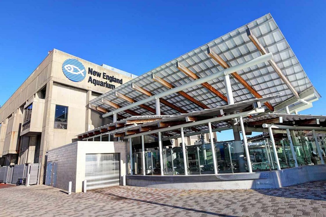 Recreational & Children's Activities